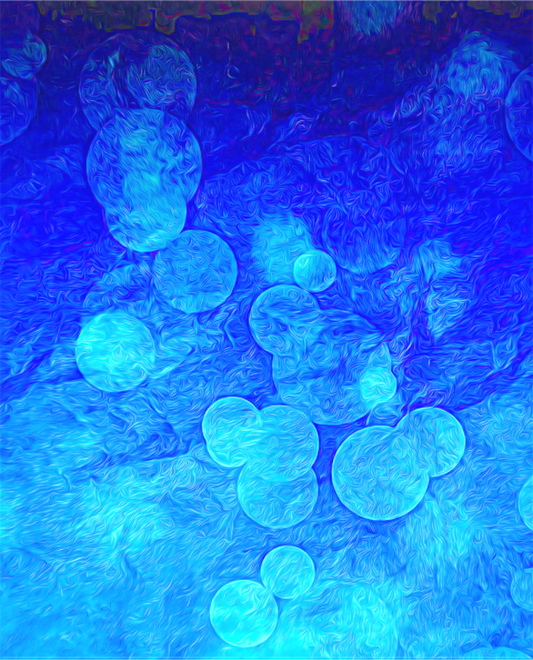 Under the Sea