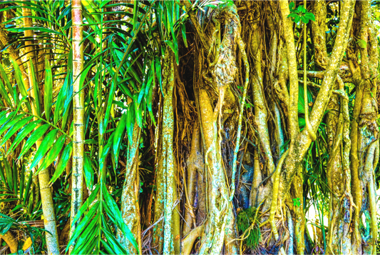 Poem Tree