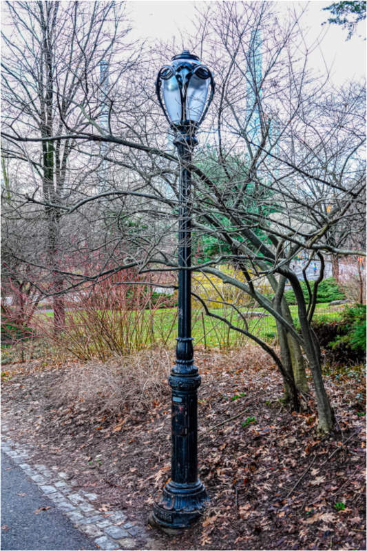 Lamplight