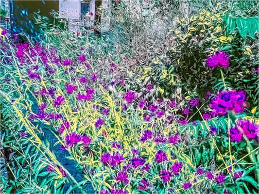 Grandma's Garden