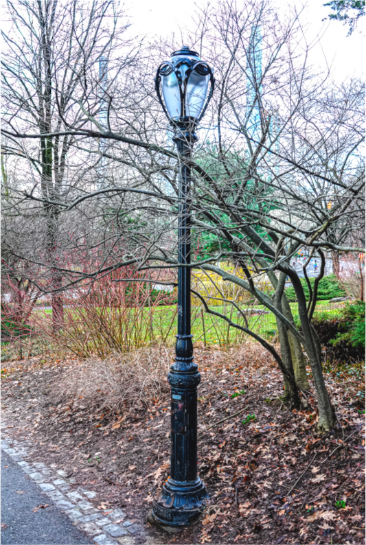 Lamplight