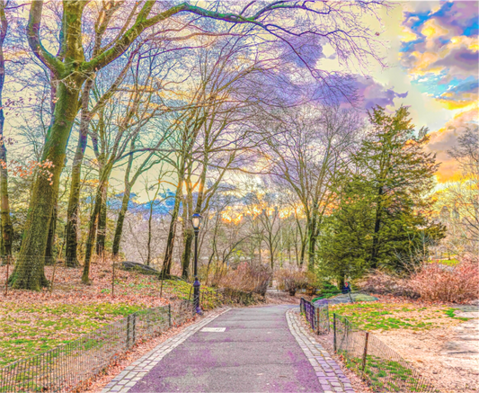 Peaceful Central Park