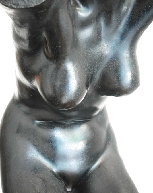 Frontal Woman's Torso