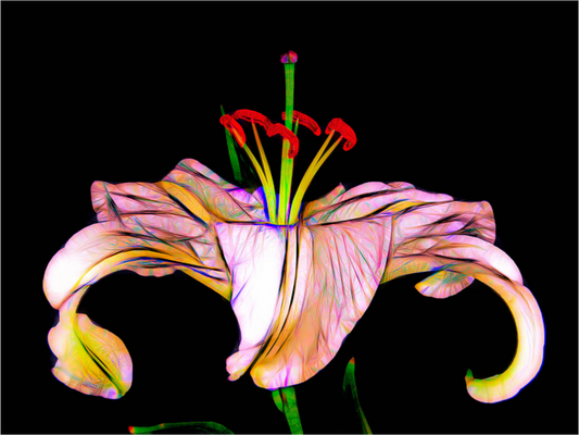 Galactic Flower