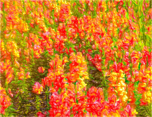 Golden Flowers