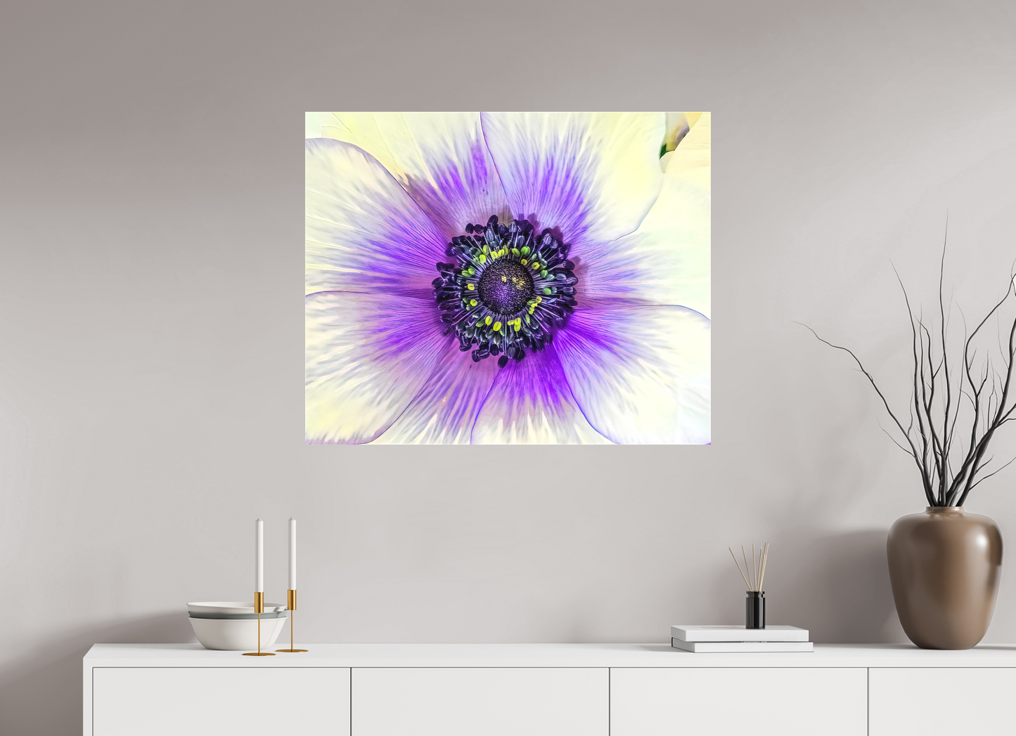 Anemone Splendor