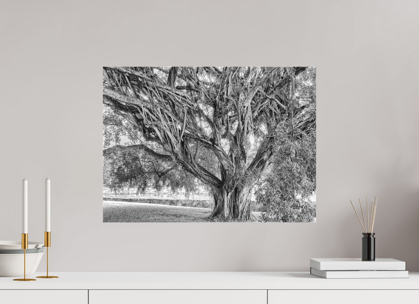 Like a Banyan Tree