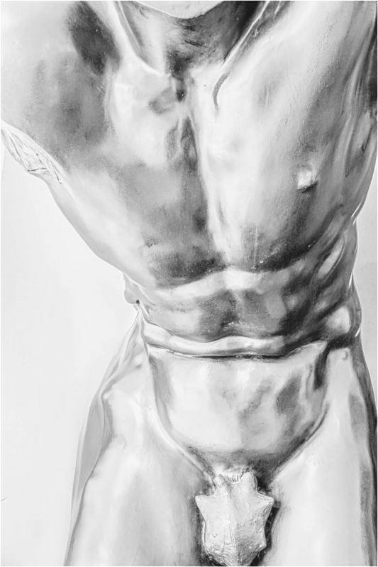 Man's Torso