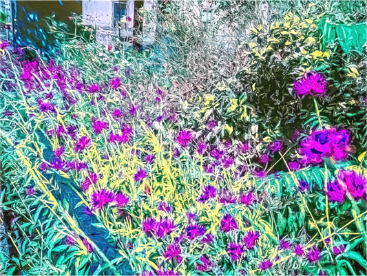 Grandma's Garden