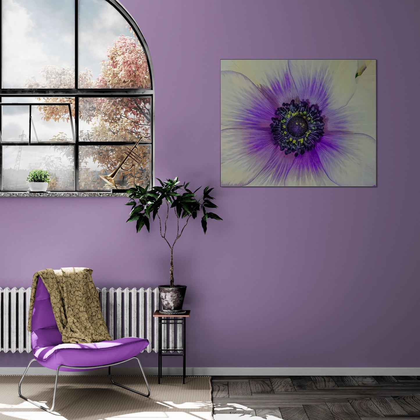 Anemone Splendor