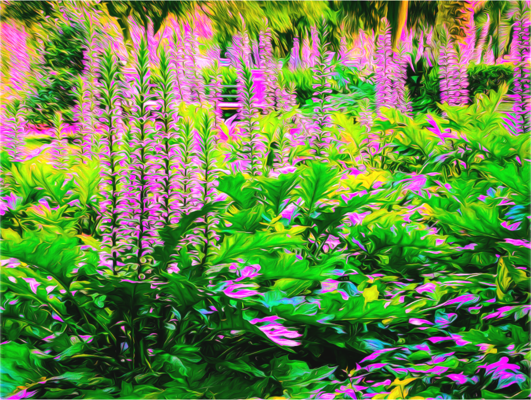 Secret Garden