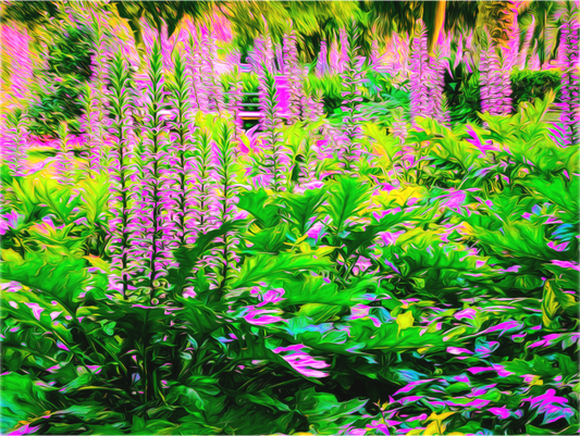 Secret Garden