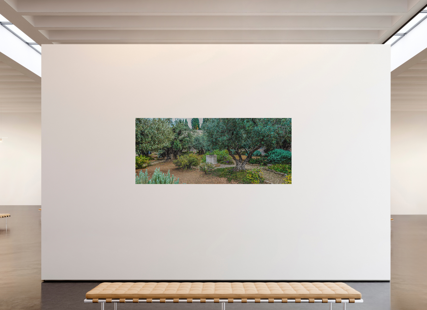 Panoramic Gethsemani Garden