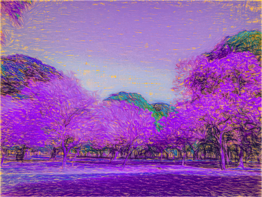 Jacaranda Garden
