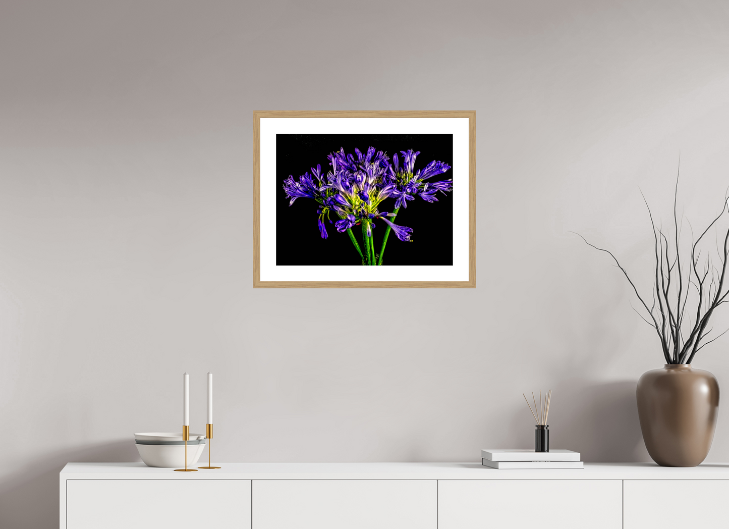 Agapanthus