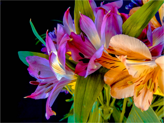 Flowers for You