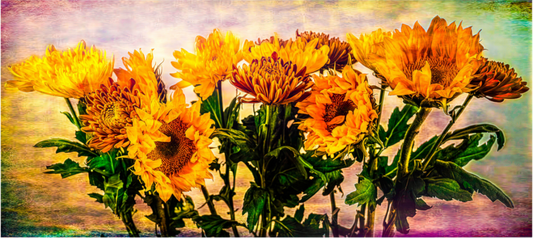 Sunflowers Symphony