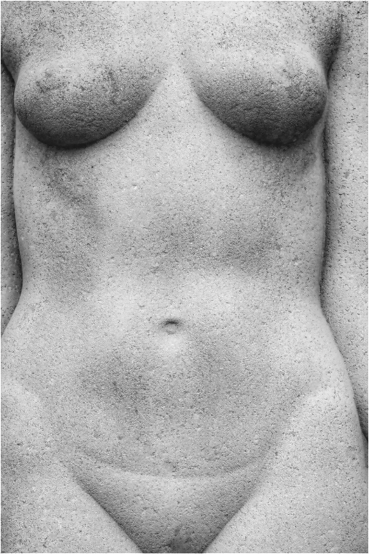 Female Torso