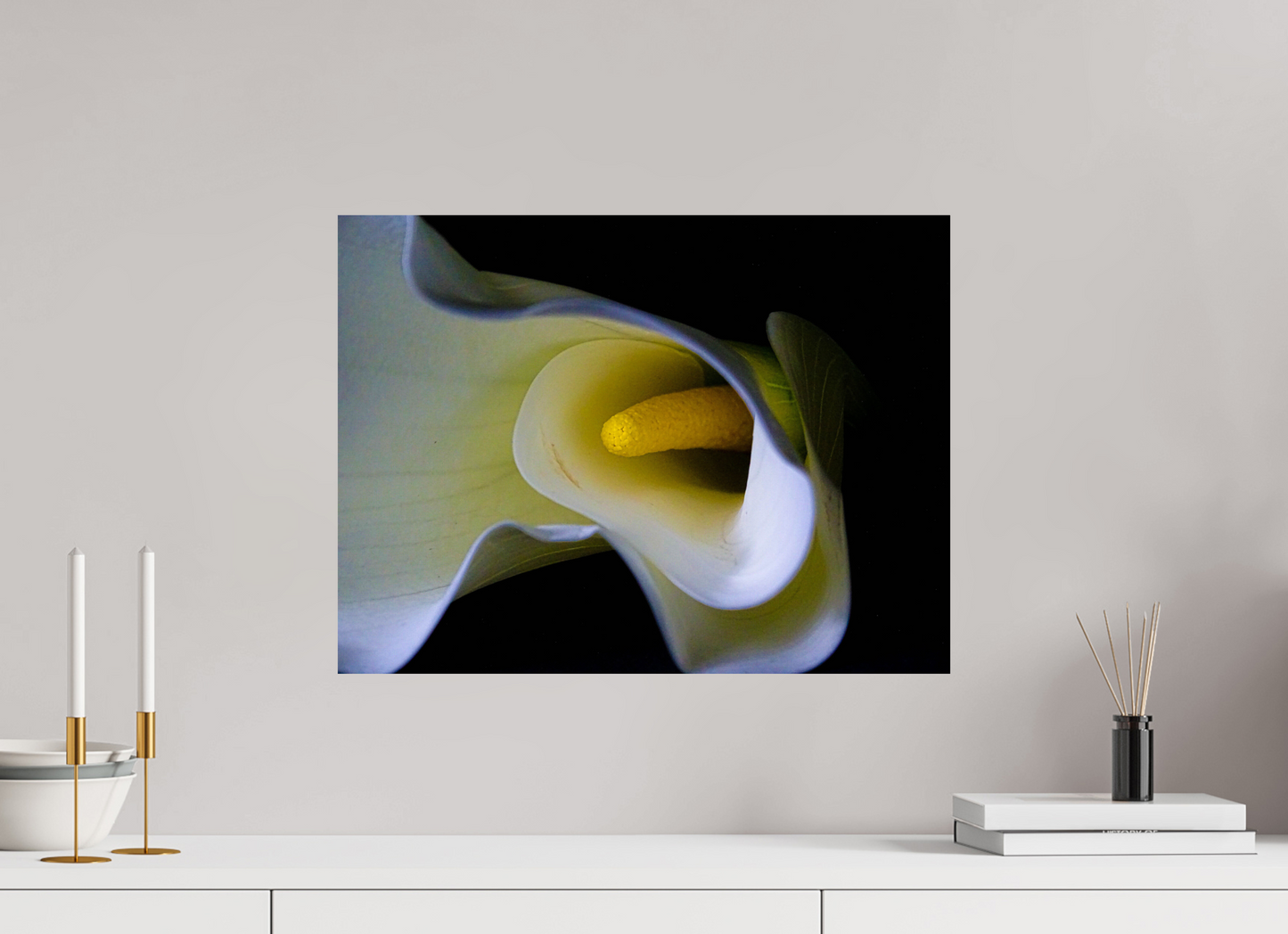 Cala in Bloom