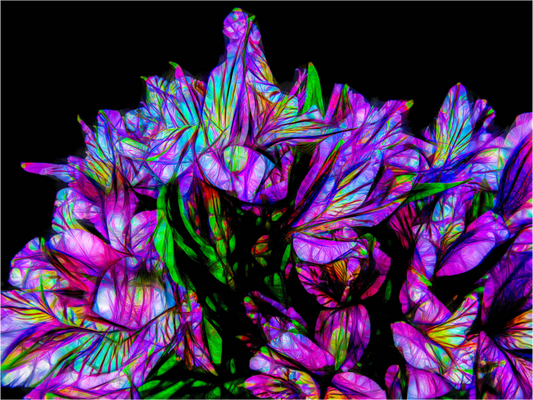 Flower Dreaming