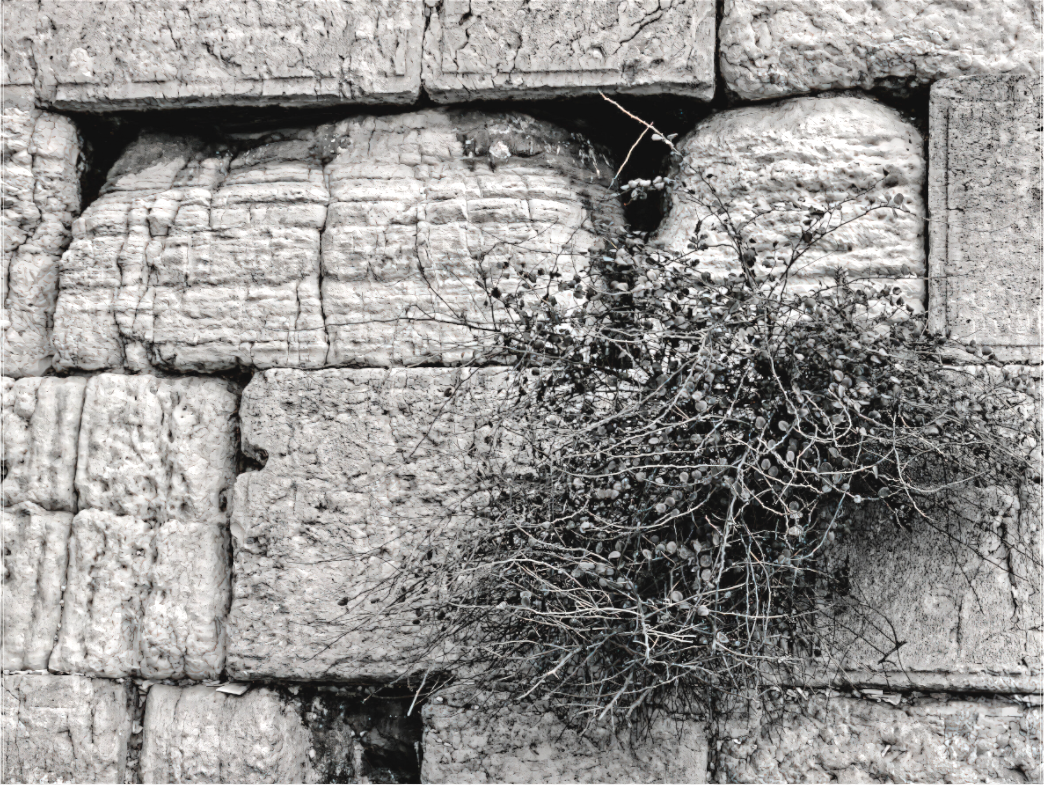 Jerusalem Western Wall (Black and White-Detail)