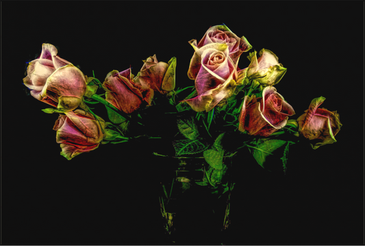 Roses Lighten Our Lives