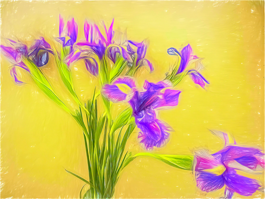 Iris is Hope