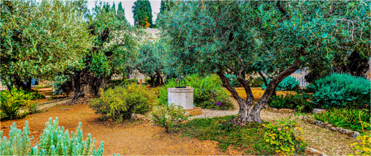 Gethsemani