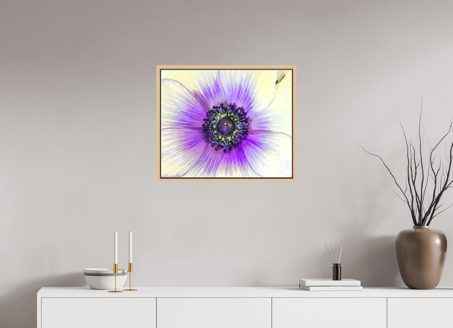 Anemone Splendor