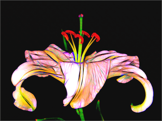 Galactic Flower