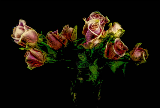 Roses Lighten Our Lives