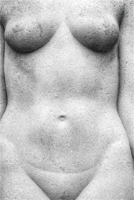 Female Torso
